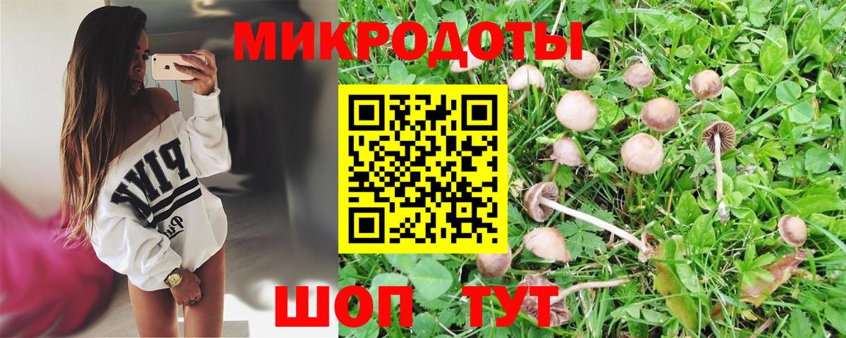 как найти закладки  Вход с VPN  Псилоцибиновые грибы Cubensis  Мытищи  Псилоцибиновые грибы Psilocybe 